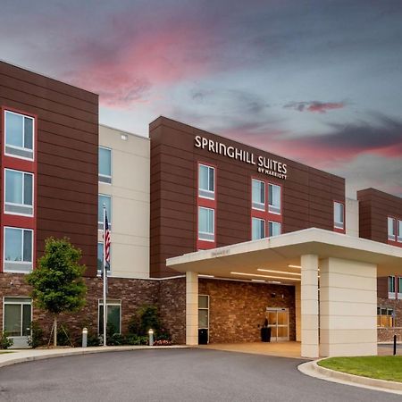 Springhill Suites Atlanta Alpharetta/Roswell Extérieur photo